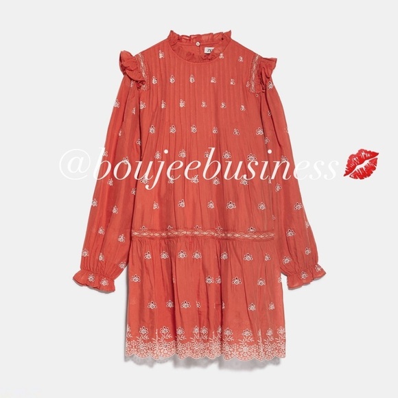 ZARA BNWT Openwork Embroidered Dress - Picture 10 of 11